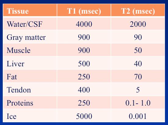 Relaxation T 1 is always longer than T 2 Liquids have very long T 1 and T 2 values