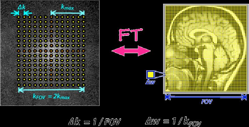 K-space Field of view (FOV): it can be seen as the size of the object of interest FOV and pixel width w (spatial resolution) are