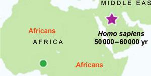 Melanesian Homo sapiens Homo floresiensis ( hobbits ) 10 000 YEARS AGO Adapted from: http://io9.