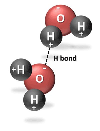 H-bonding between water molecules is responsible for the high melting and boiling points of water, the high heat capacity, surface tension,