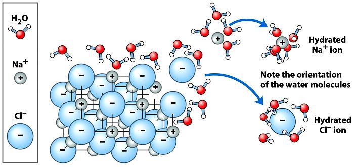 Bonding with polar and charged compounds Because of its polarity, water can form electrostatic