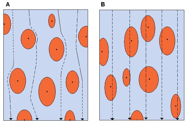 Figure 2.2. Current flow in tissue at low and high frequency shown in A and B, respectively 2.3.