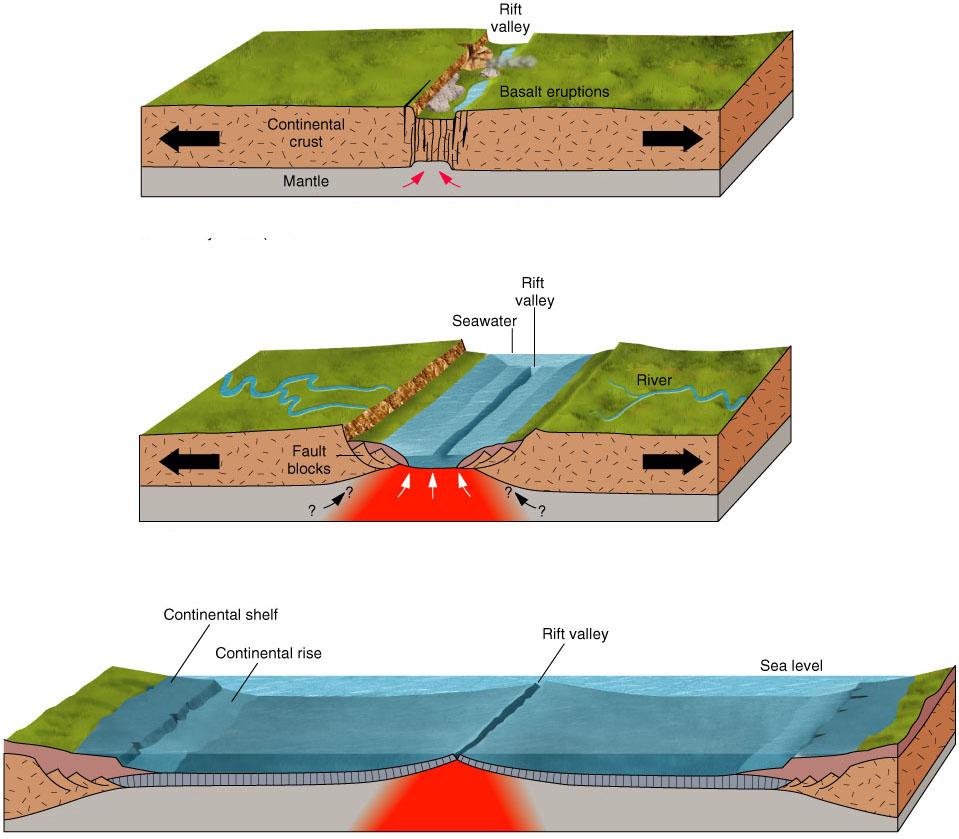 Divergent Boundary Spreading plates cause sea floor spreading.