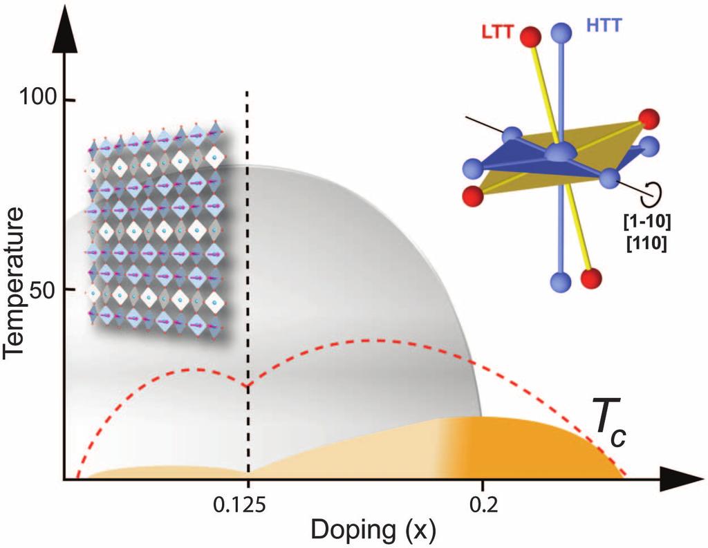 Light-Induced Superconductivity