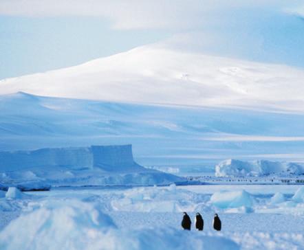 Antarctica is the coldest place on Earth. It is a frozen continent covered in ice. The South Pole is on Antarctica. The South Pole is the farthest south that you can go!