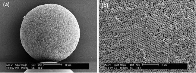 ARTICLES Kim et al. Figure 11. (a) SEM images of the inverted supraballs composed of nanometer-sized silica particles of 30 nm in mean diameter and (b) its magnified surface image.