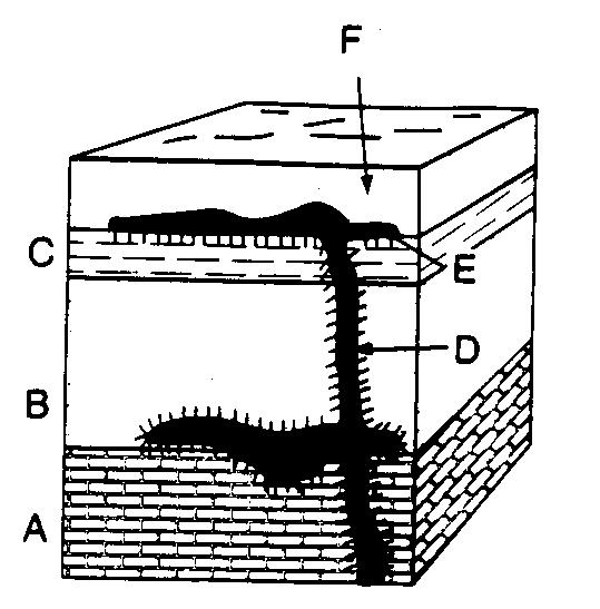 13. Name the rock layer that formed first. 14. Name the rock layer that formed second. 15. Name the rock layer that formed third. 16.