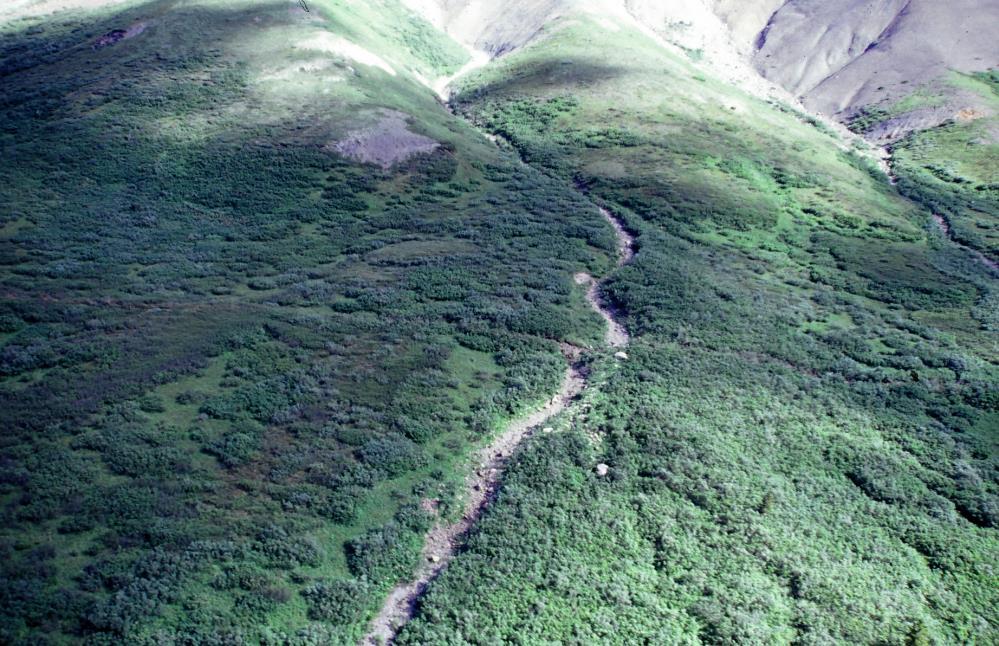 http://quake.wr.usgs.gov/research/seismology/alaska/ Aerial view north of a stream channel right-laterally offset 7.5-9.