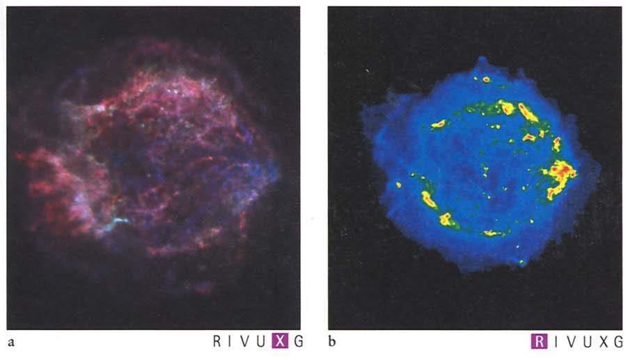 The SN explosion produces a fast-moving expanding shell of gas, observed as supernova remnants (SNRs). E.g. Crab Nebula (explosion in 1054 A.D. recorded by Chinese and Native Americans).