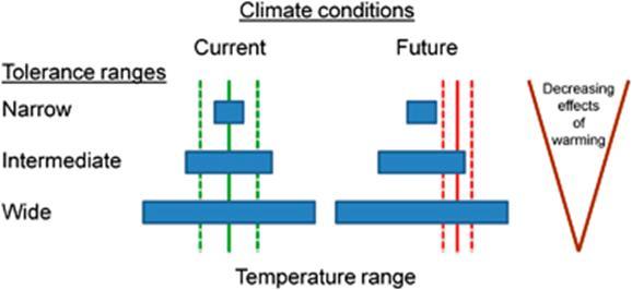 Requirement for cold/warm stratification to break dormancy Plasticity of