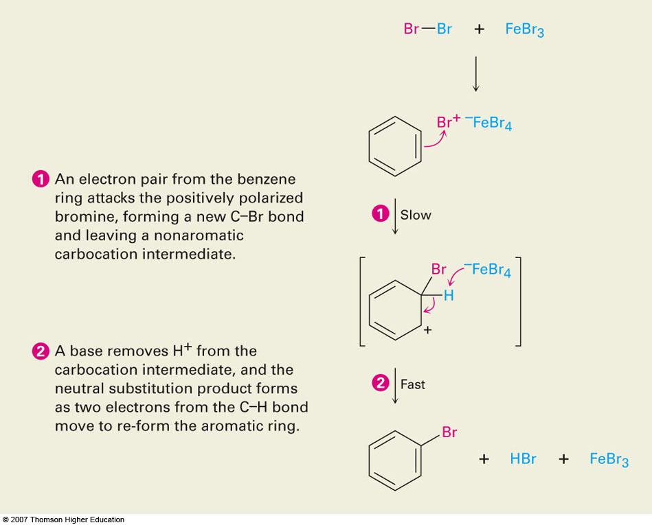Formation of Product from Intermediate The cationic addition intermediate transfers a proton to