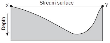 Which statement best explains why one stream could be flowing faster than the other stream? A) The faster stream contains more dissolved minerals.