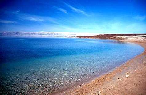 purify water 2. Halophiles Live in extremely salty places (eg. Dead Sea or Salt Lake) 3.