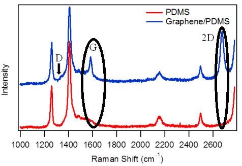 41 this specific frequency. A 2D peak with frequency around 2700 cm 1 is indicative of second order Raman scattering.