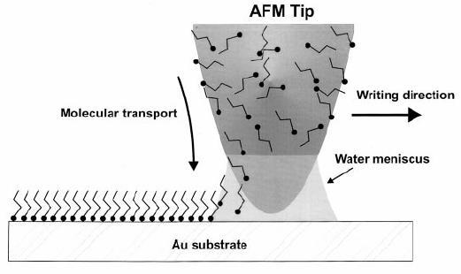 Nanoscale Fountain Pen Dip Pen Nanolithography(DPN) Dip-pen nanolithography (DPN) is a new