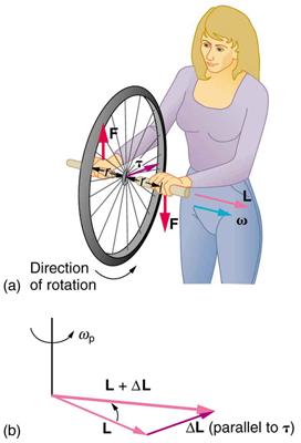 Figure (b) shows that the direction of the torque is the same as that of the angular momentum it produces. Figure 10.