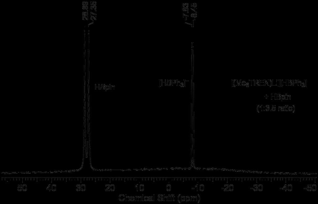 Figure S81. 11 B NMR spectrum of a 1:3.5 mixture of 4 and HBpin in THF-d 8.