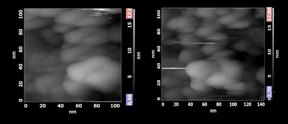 Figure 4.17. Scanning tunnel microscopy analysis on Pt/CNTS-AuNP(cys) sample. Figure 4.18.