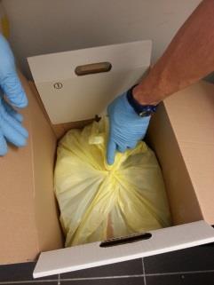 biological waste. Example, Plastic pipettes should be disposed in the tall trash bin with the yellow bag.