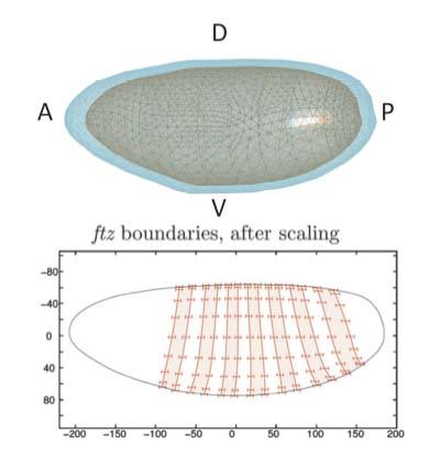 Figure 19: Future work geometry, dynamics and concentration data.