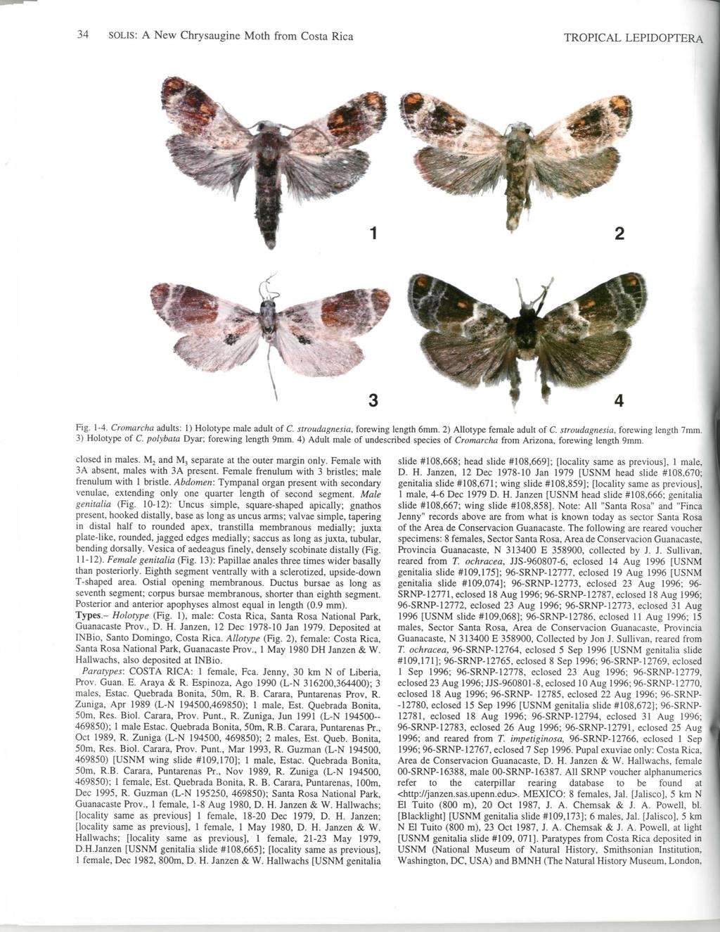 34 SOUS: A New Chrysaugine Moth from Costa Rica TROPICAL LEPIDOPTERA Fig. 1-4. Cromarcha adults: 1) Holotype male adult of C. stroudagnesia, forewing length 6mm. 2) Allotype female adult of C.