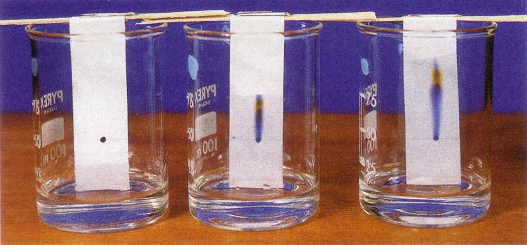 Method: Paper Chromatography Separates: Different dissolved components of a liquid mixture such as the colouring additives in food, or pigments in inks.