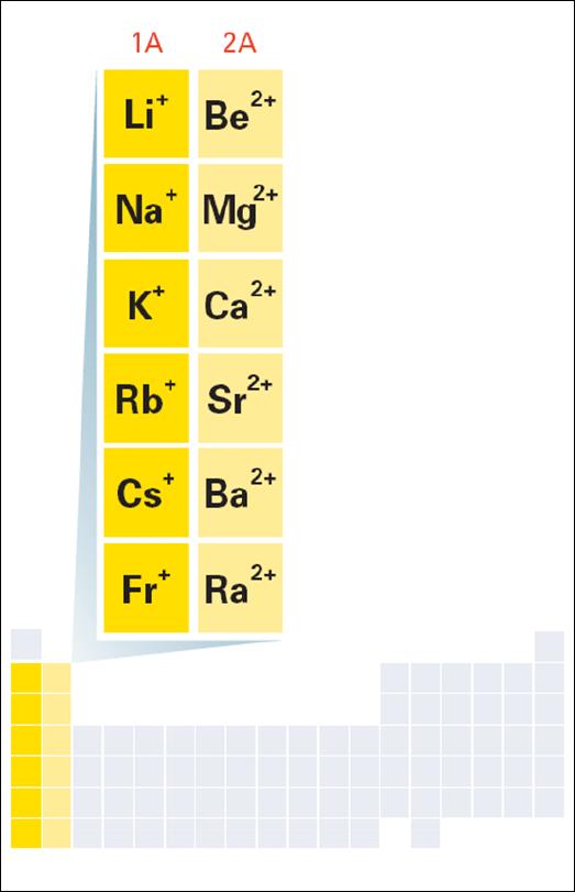 The Formation of Cations Cations of Group 1A elements always lose 1 electron and have a charge of 1+.