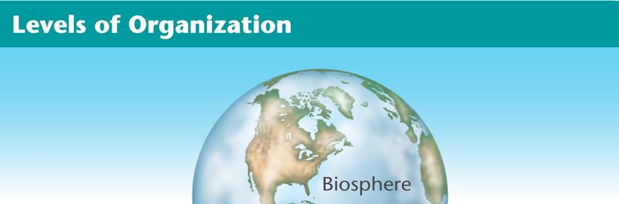 Branches of Biology Biosphere The