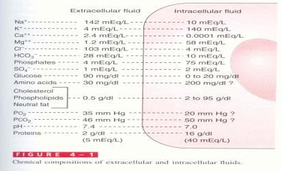 Figure. 3.1 Mammalian cellular ionic concentration of intracellular and extracellular fluid [9] TABLE 3.