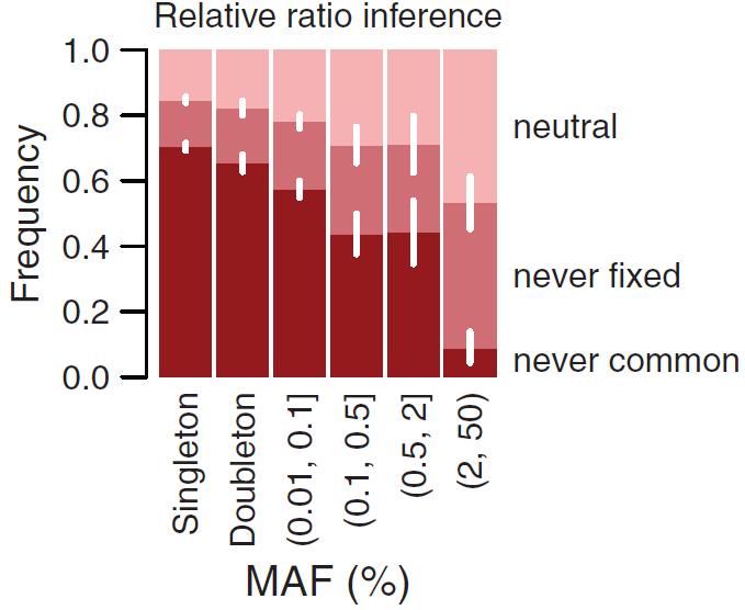Phenotypic Effect of Rare Variants Rare