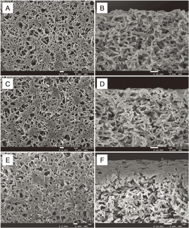 Fig. 5 shows SEM images of the surfaces and cross sections of the ungrafted nylon- 6 membrane substrate and poly(nipam-co-b 15 C 5 Am)-grafted membranes with different grafting yields.