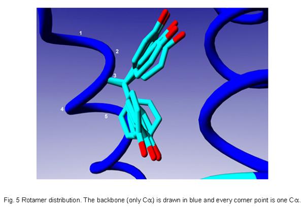 Handling protein conformations Most docking software treats the protein as rigid Rigid Receptor Approximation This approximation may be invalid for a particular protein-ligand complex as.