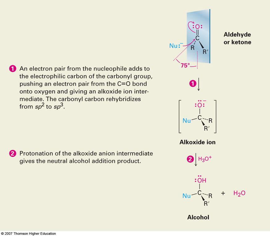 Mechanism of Nucleophilic Addition Nu - approaches 75 to the plane of