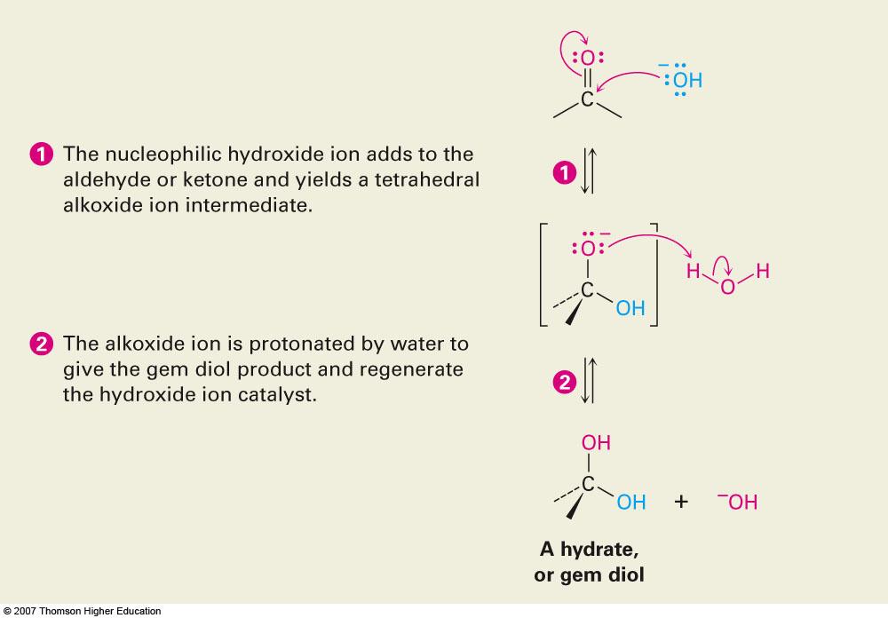 Base-Catalyzed Addition of Water Addition of water is catalyzed by both acid and base The