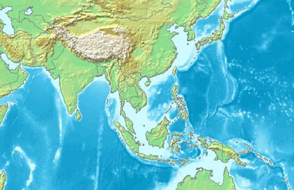 Asian Disasters Observed by Sentinel Asia