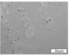 Deposition of Nanocomposite Films Influence of plasma deposition