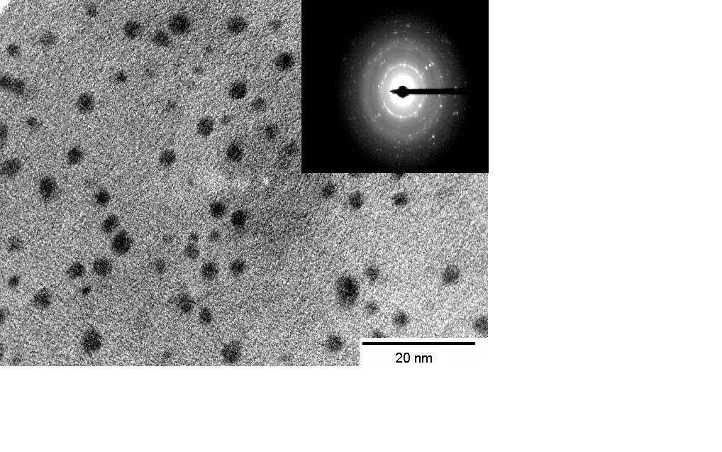 Figure 3: SEM image of silver nanoparticles. Figure 4: TEM image of silver nanoparticles. Inset shows selected area electron diffraction (SAED) pattern of silver nanoparticles 3.
