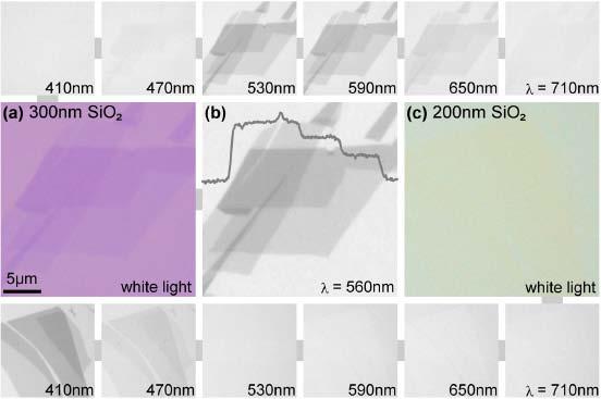 The trick: Finding the Graphene Using correct substrate And correct light frequency Interference effect