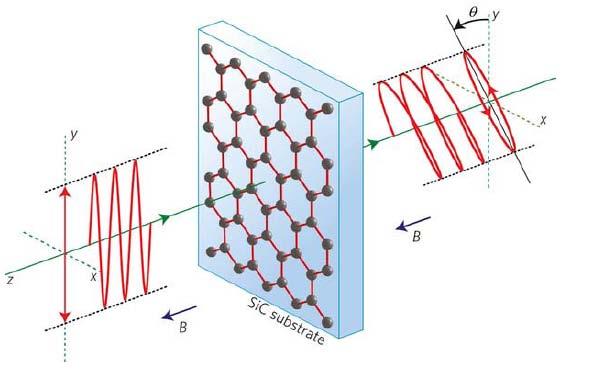 Giant Faraday rotation Graphene turns the polarization by several degrees in modest magnetic fields.