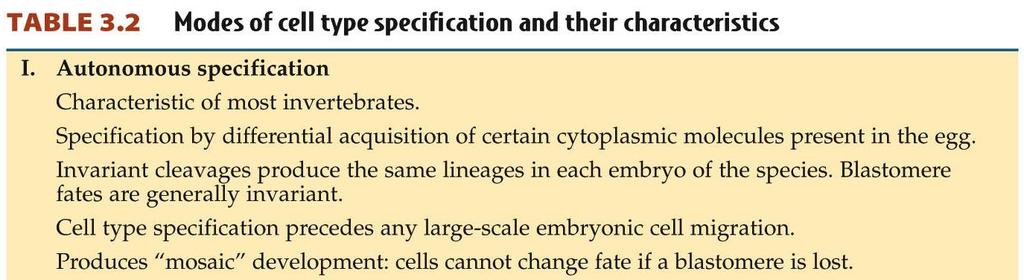 Autonomous Specification Cells are