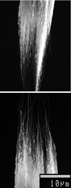 Factors Determining Fiber Strength Fractography analysis of CNT fibers broken in tension indicates that the fracture surface is fibrous, with multiple bundles and other fiber subunits protruding from