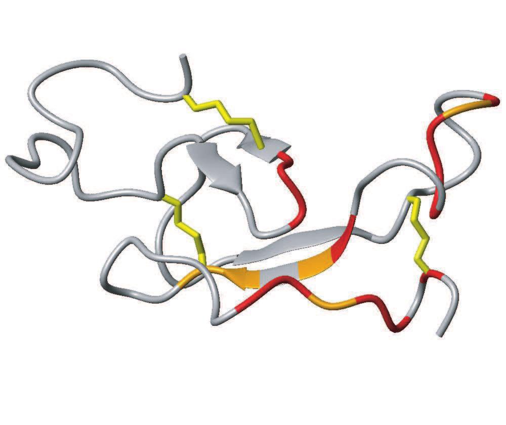 Example 2: Protein Structure Prediction RSCCPCYWGGCPWGQNCYPEGCSGPKV 1 2