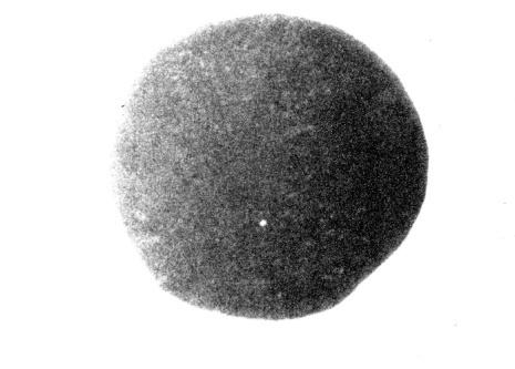 1008 Reactor Physics: General I sample degradation and non-uniformities were noted and are documented in Reference (1). An x-ray image of the nominal 10-mil-thick (1 mil = 0.