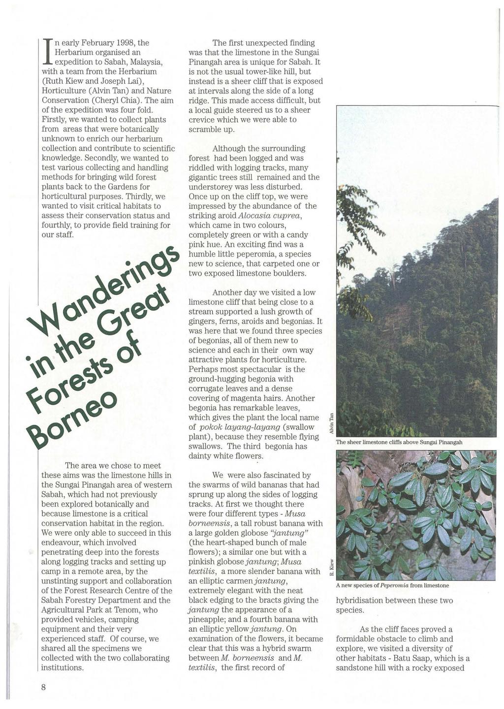 I n early February 1998, the Herbarium organised an expedition to Sabah, Malaysia, with a team from the Herbarium (Ruth Kiew and Joseph Lai), Horticulture (Alvin Tan) and Nature Conservation (Cheryl