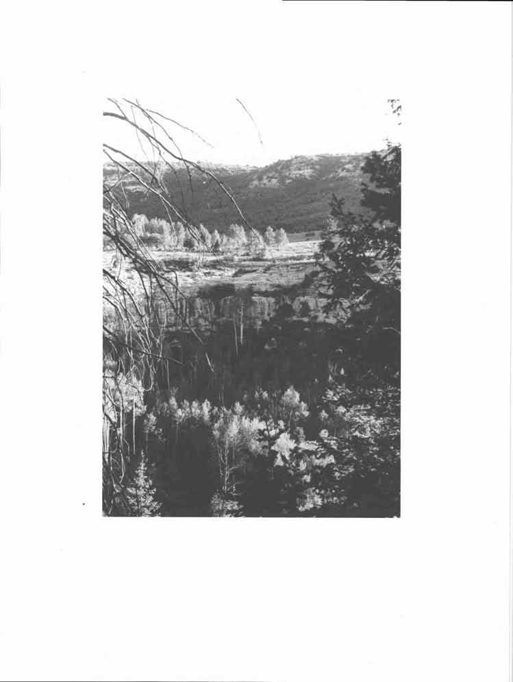 34 UTAH ARCHAEOLOGY 1991 Figure 2. View of Aspen Shelter in Saleratus Canyon. The shelter lies behind the aspen trees at the base of the sandstone cliffs on the far side of the canyon.