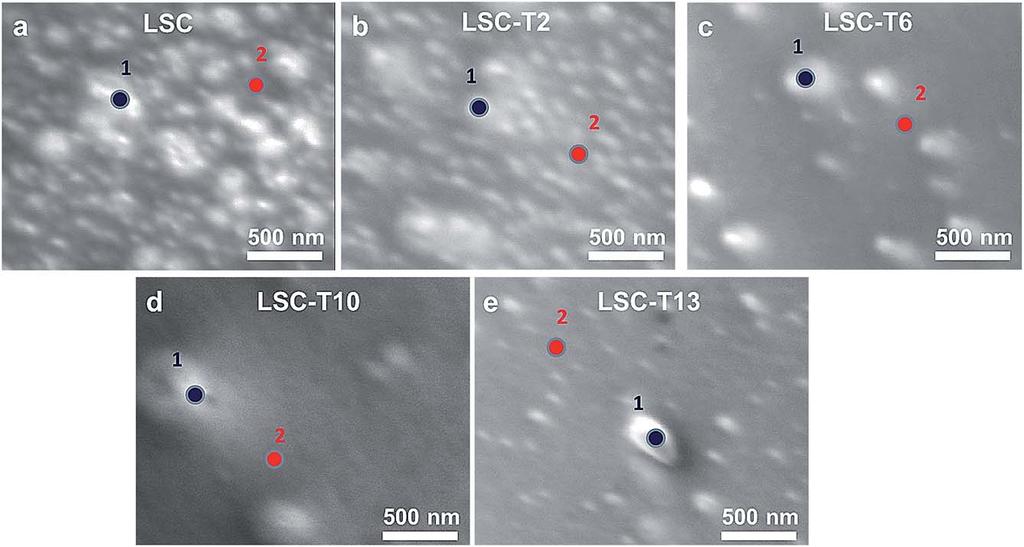 SEM and AES analysis on the LSC and LSC-T lms. Sr-rich and Co-poor particles that were found at the surface of the lms served as LSC cathodes.
