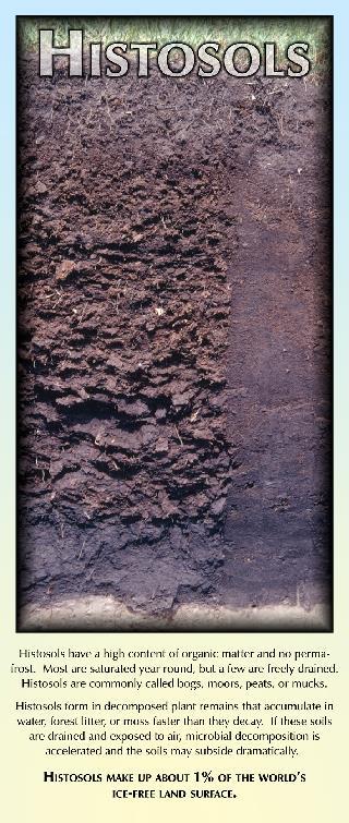 soils are