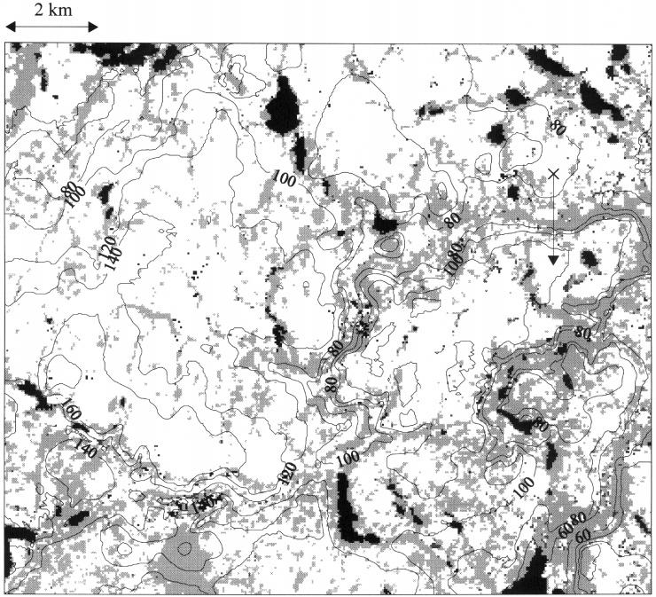 SNOW HYDROLOGY 48: MODEL OF BLOWING SNOWFLUXES 2429 Figure 4. Elevation and vegetation maps for TVC.