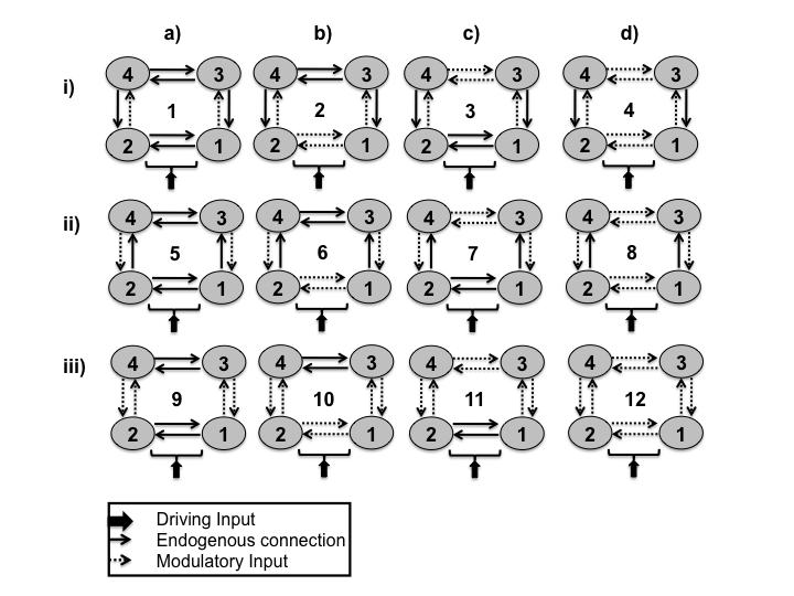 Prefrontal-parietal connectivity during