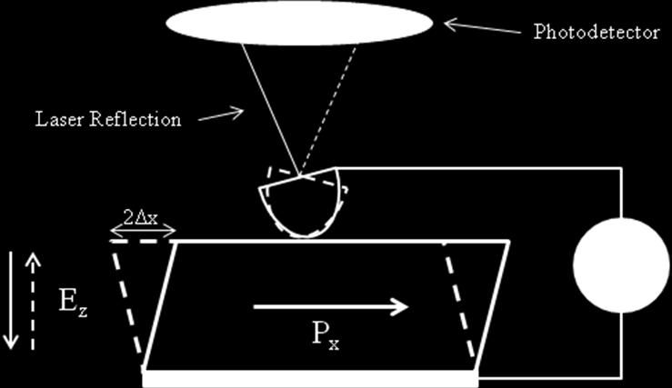 An AC voltage will result in an oscillation of the deformation and domains with opposite polarization are out of phase from one another.